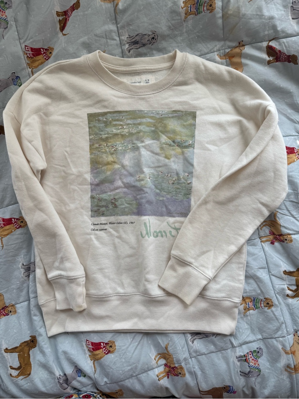 abercrombie kids sweatshirt 9/10